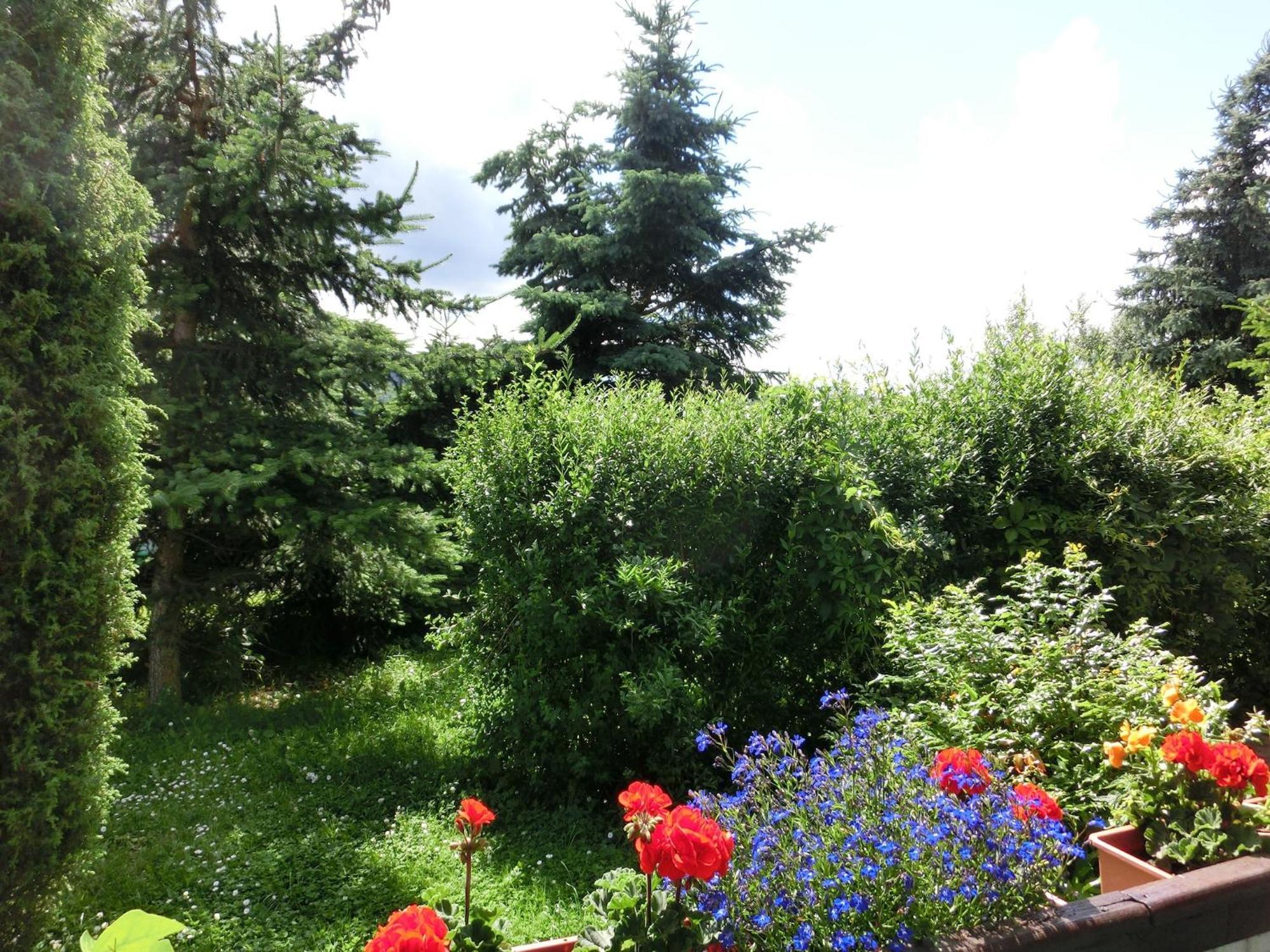 Holiday Home In Cattenstedt Harz With Garden Exterior foto